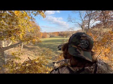 Видео: Охота с арбалетом на гоне белохвостого оленя | ГРОМКОЕ РЫЧАНИЕ И ПОГОНЯ #дикая природа #таймлапс ...
