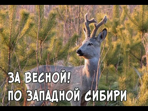 Видео: За Весной! По Западной Сибири.