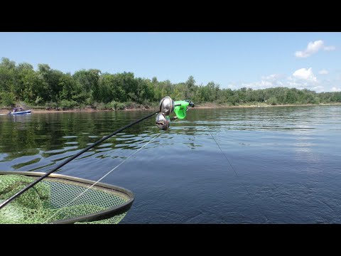 Видео: Наконец то Крупный Лещ пошёл! Ловля Леща на Кольцо. Рыбалка 2021