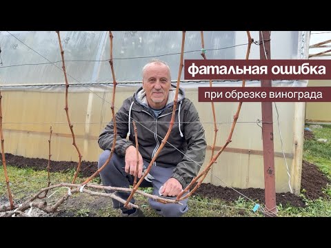 Видео: Ошибка при обрезке винограда 