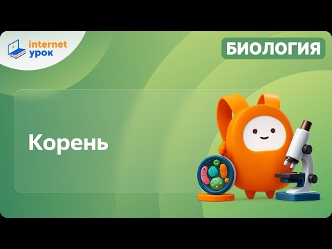 Видео: Корень. Видеоурок по биологии 6 класс
