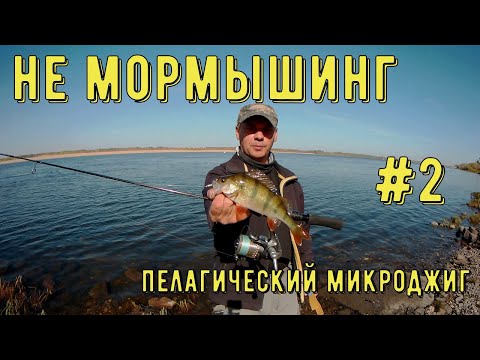 Видео: Не мормышинг! Пелагический микроджиг на течении. Рыбалка на р.Волга. Часть 2.