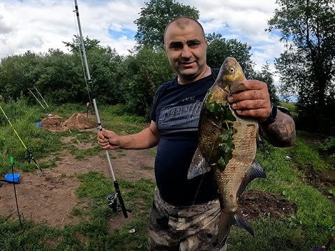 Видео: Рыбалка с ночевкой на реке Луга / Пробую новую прикормку / Донки Крокодил /