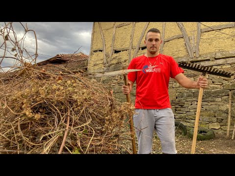 Видео: КАКВО СЕ СЛУЧВА С ДВОРА? | Живот в българско село ЕП.3