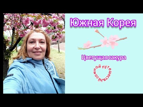 Видео: Путешествие Южная Корея #южнаякорея #сеул #достопримечательность #путешествия 