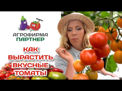 Видео: Как вырастить вкусные томаты | #огород #семена #томаты