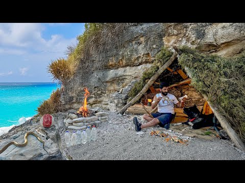 Видео: 3 ДНЯ выживание в одиночку (БЕЗ ЕДЫ, БЕЗ ВОДЫ, БЕЗ УГОЛКА) Поймать и приготовить ЗМЕЮ. Bushcraft