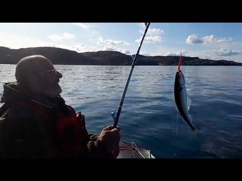 Видео: Тест НДНД лодки в Баренцевом море. Рыбалка в Териберке