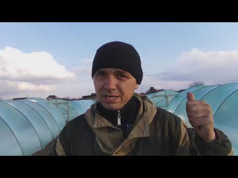 Видео: Агрономы и сопровождение