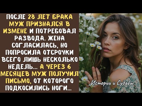 Видео: После 28 лет брака МУЖ признался в измене и потребовал развода. ЖЕНА согласилась, но с условием...