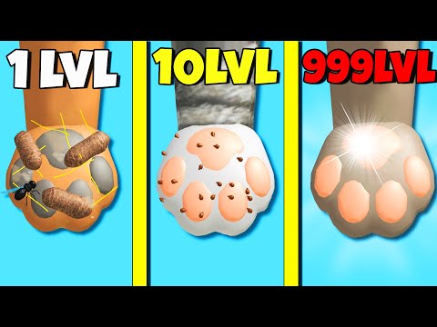 Видео: ЭВОЛЮЦИЯ ЛАПОК ЖИВОТНЫХ, МАКСИМАЛЬНЫЙ УРОВЕНЬ! | Paw Care