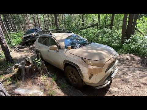 Видео: TOYOTA RAV4 ЕДЕТ НА ХУРЛА-КЕЛЬ!!! Доедет ли? Июль 2021