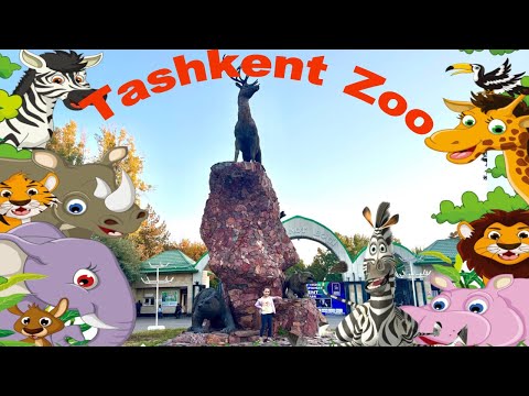 Видео: Ташкентский зоопарк удивил