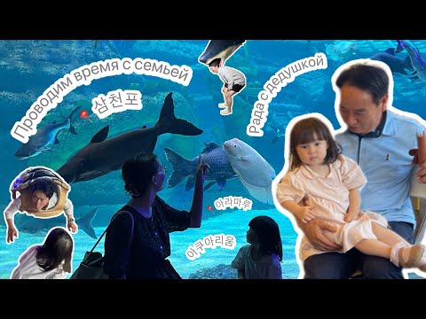 Видео: Проводим время с родителями мужа 😌  Океанариум в 삼천포 📍아라마루 아쿠아리움 🐠