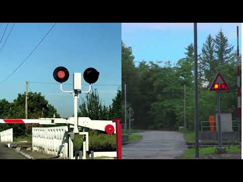 Видео: ПДД из joldo kg 6 тема часть 2