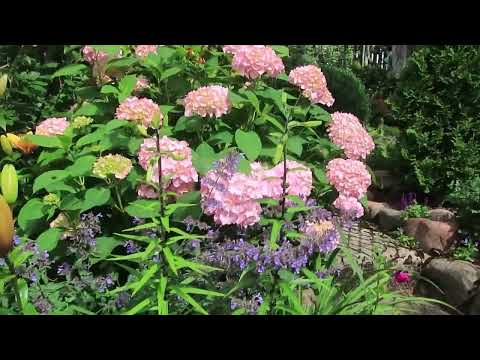 Видео: ЭКСКУРСИЯ ПО САДУ - ИЮЛЬ-3-Я ЧАСТЬ-заключительная