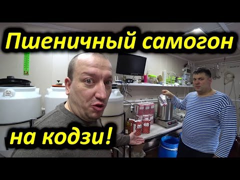 Видео: Пшеничный самогон на кодзи