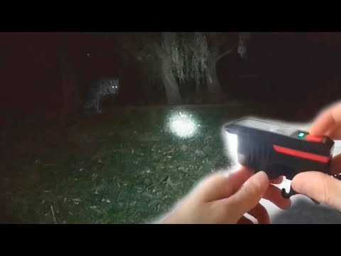 Видео: Фара на велосипед. Тест на дальность в сравнение с фонарем. Реальный прожектор за 5$.