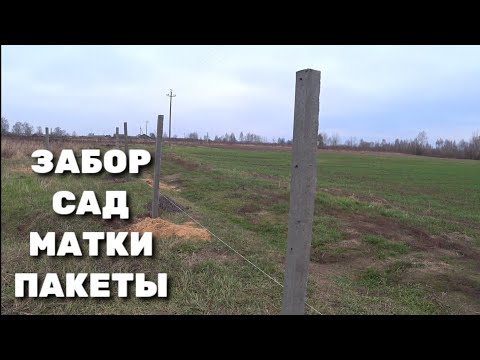 Видео: Ограждение сада. Обработка пчёл. Заказ пакетов. Отказ от матководства.