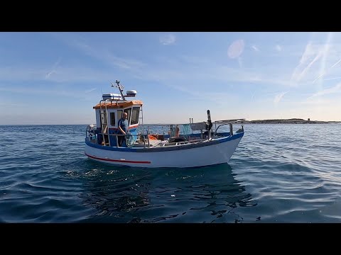 Видео: Прекрасный день ловли омаров и крабов — большой омар, поймать и приготовить