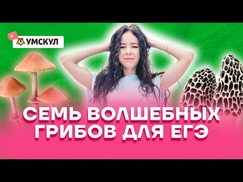 Видео: Семь волшебных грибов для ЕГЭ | Биология ЕГЭ 2022 | Умскул