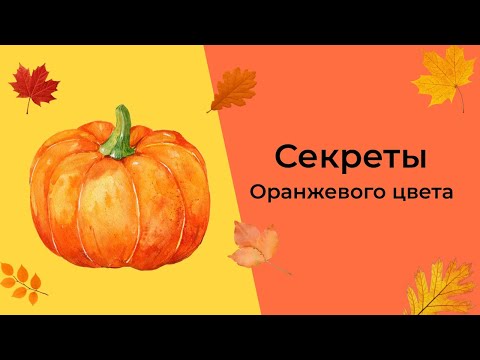 Видео: Оранжевый цвет глазами художника. 50 оттенков.