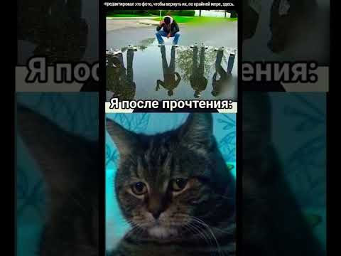 Видео: 3 ноября 2025 г.