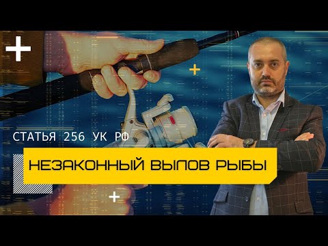 Видео: Статья 256 УК - Незаконная добыча вылов водных биологических ресурсов - Адвокаты на рыбалке