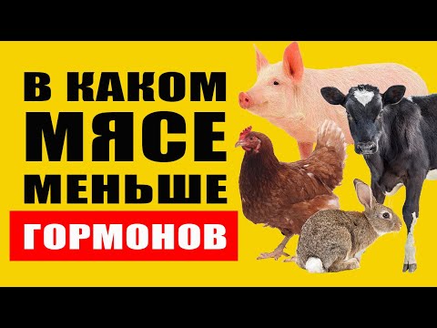 Видео: Узнайте В Каком Мясе Нет Гормонов и Антибиотиков