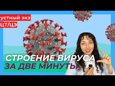 Видео: СТРОЕНИЕ ВИРУСА ЗА 2 МИНУТЫ - Устный экзамен, ЦЭ, ЦТ