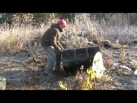 Видео: На болото за клюквой. Закрытие дачного сезона.