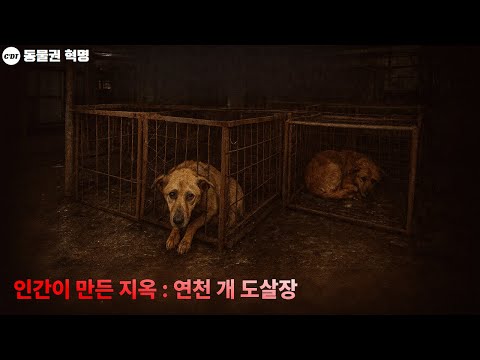 Видео: Там, реальность, с которой я не хотел сталкиваться,