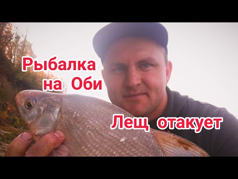 Видео: Рыбалка на Фидер. Река Обь. Барнаул. Второй поход.