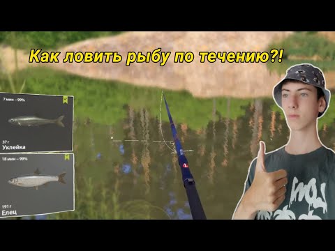 Видео: Как ЛОВИТЬ рыбу по течению! +100 МОНЕТ за 24 часа!