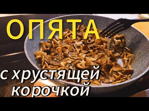 Видео: Как вкусно пожарить опята 🍄‍🟫 Рецепт ароматных грибов на сковороде🔥