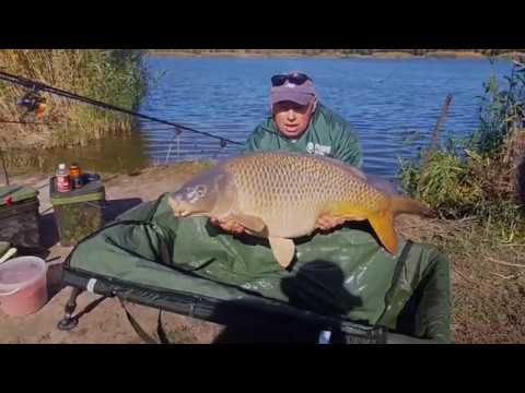 Видео: 👍 Карповый кораблик – честный отзыв покупателя (на рыбалке / интервью)