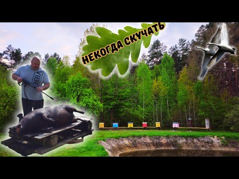 Видео: Бросили город и уехали жить в деревню!🐓🐝🐕🌾Восстанавливаем дедов участок!👌💖ВЫПУСК 21