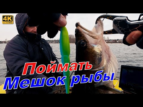 Видео: Мешок РЫБЫ на ДЕНЬ РОЖДЕНИЯ
