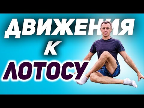 Видео: Это поможет осваивать ЛОТОС (ПАДМАСАНА)