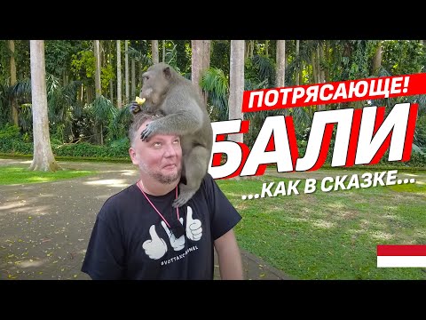 Видео: ПОТРЯСАЮЩИЙ БАЛИ! ЛЕС ОБЕЗЬЯН, ОЗЕРА, ВОДОПАД И ДР. BALI 2023