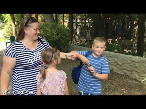 Видео: Семейная прогулка, зоопарк ''ZOO'', столица Кишинёв. 2 - часть. Deaf