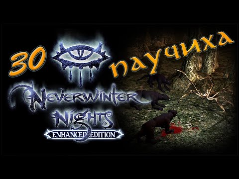 Видео: NWN Enhanced Edition #30 «Дом нимфы»