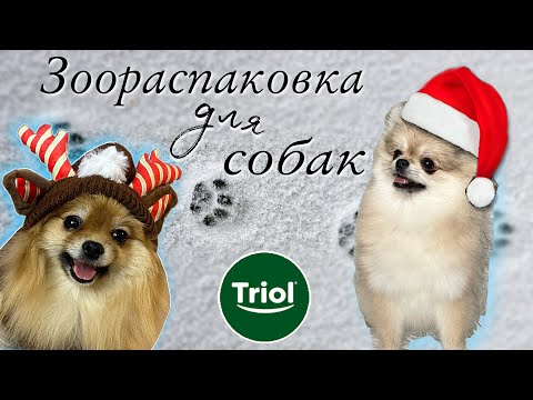 Видео: Большая распаковка 🐾 Новогодние зоотовары, новинки Triol | игрушки, одежда, вкусняшки для собак