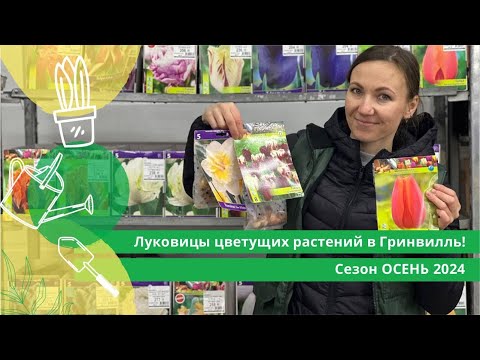 Видео: Луковицы цветущих растений в Гринвилль! Сезон ОСЕНЬ 2024