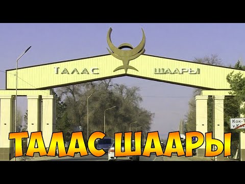 Видео: Талас Шаары | 20 Сентябрь 2024