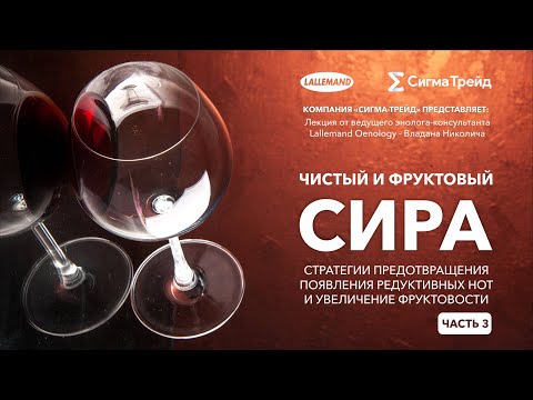 Видео: 🍷🍇Чистый и фруктовый Сира. Часть 3