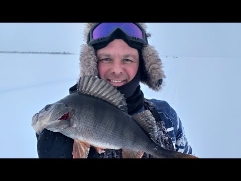 Видео: ХАНТЫ 2021оз.ЕНДРА РЫБАЛКА НА ТАЁЖНЫХ ОЗЕРАХ ЮГРЫ