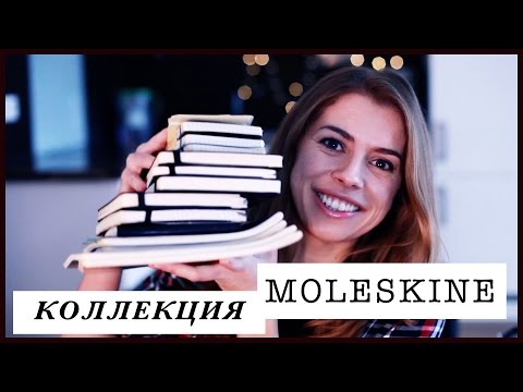 Видео: Мои тетради и ежедневники Молескин!