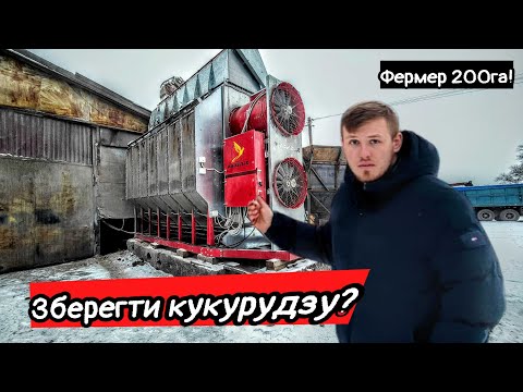 Видео: Кукурудза дала +15ц після цього❗ Зерносушарка для фермера 200га на газу. Сушать і сусідам