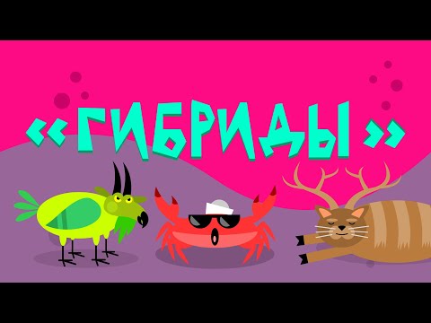 Видео: Капитан Краб: "Гибриды"